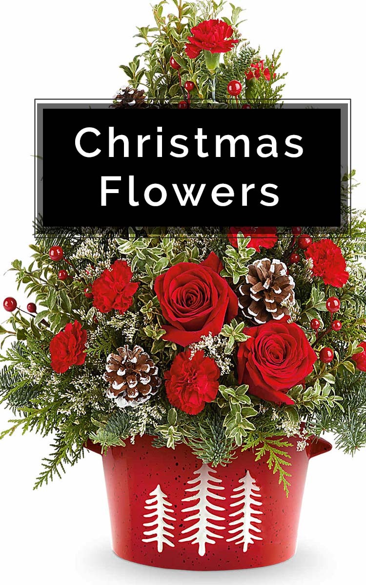 Christmas Flowers