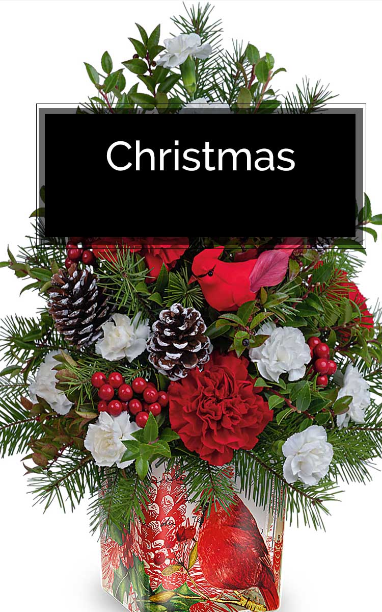 Christmas Flowers