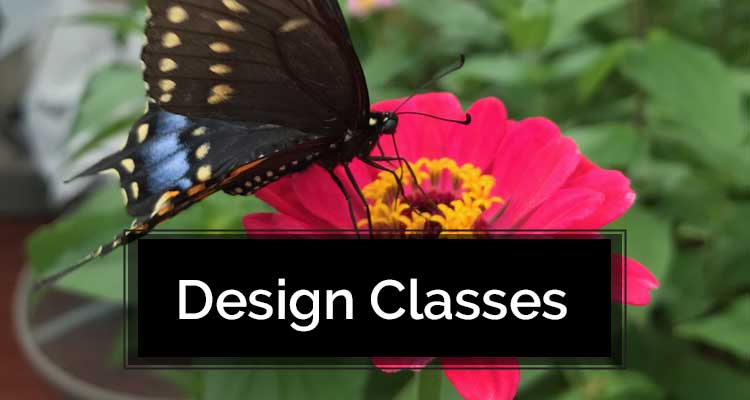 Design Classes