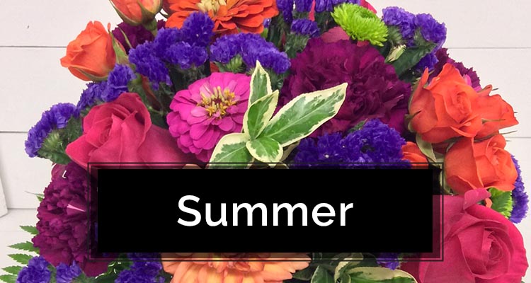 Summer Flowers
